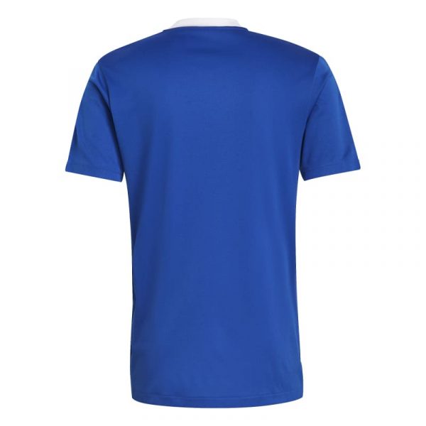 חולצת אדידס טירו כחול רויאל עם לוגו צווארון ופסים על הכתפיים לבנים תמונה מאחור