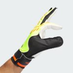 ⁦כפפות שוער אדידס  ADIDAS Predator Training Goalkeeper Gloves⁩ – תמונה ⁦2⁩